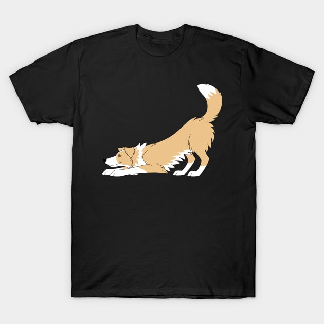 Red Border Collie Yoga T-Shirt by Sivanov